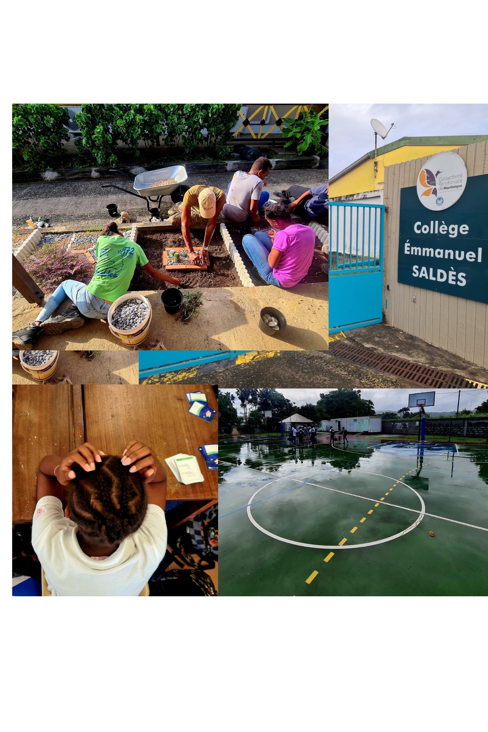 Estancia profesional en West Denton Primary School en Newcastle upon Tyne (Reino Unido)