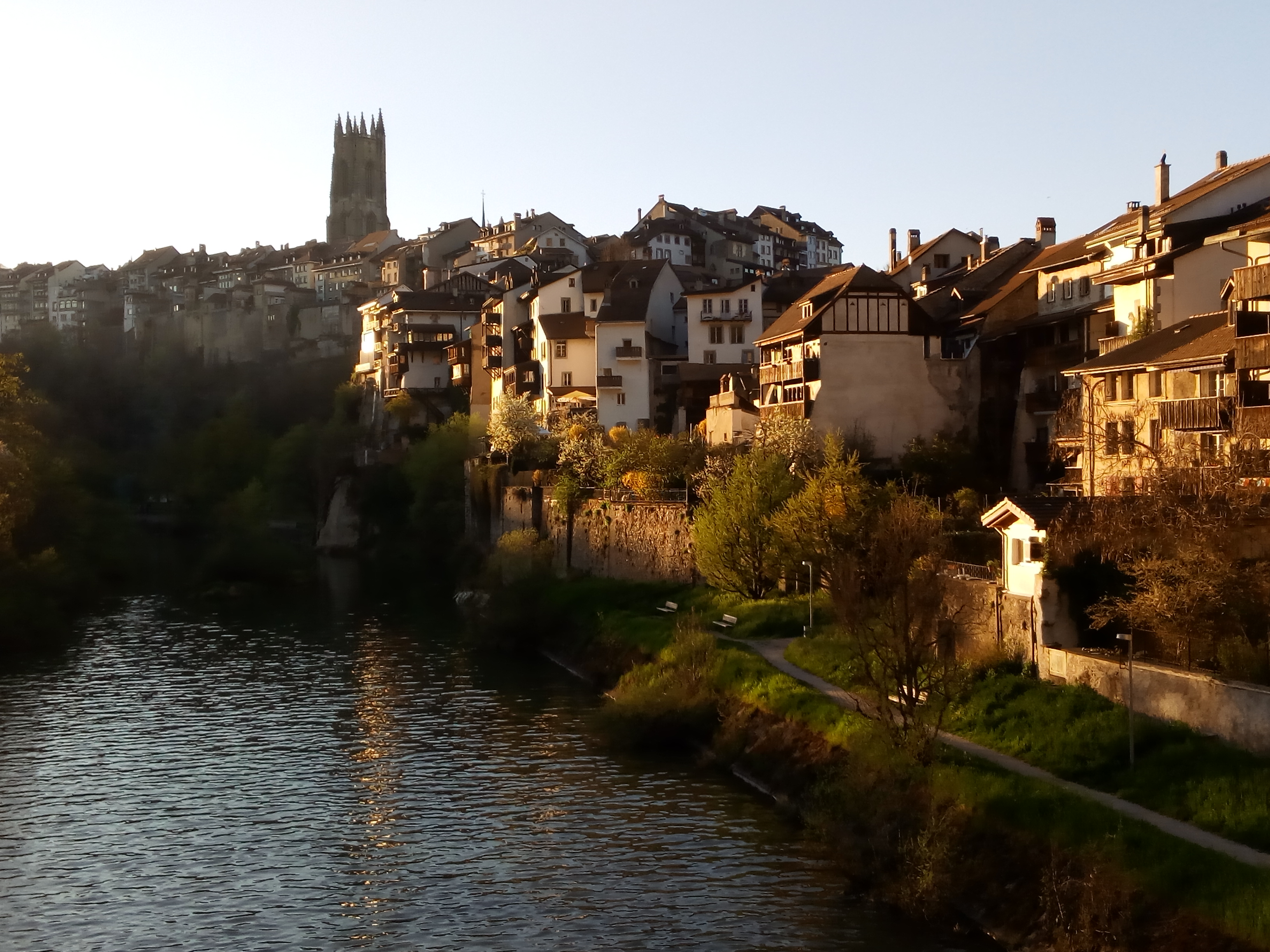 Experiencia suizo-canaria en Fribourg