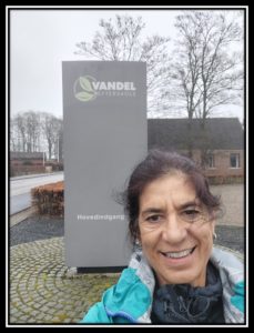 Estancia profesional en Vandel Efterskole en Vandel (Dinamarca)