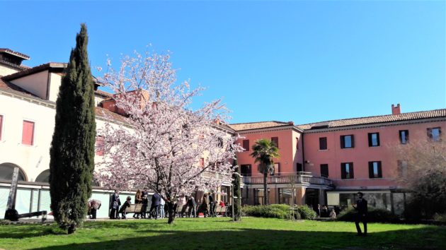 School for International Education