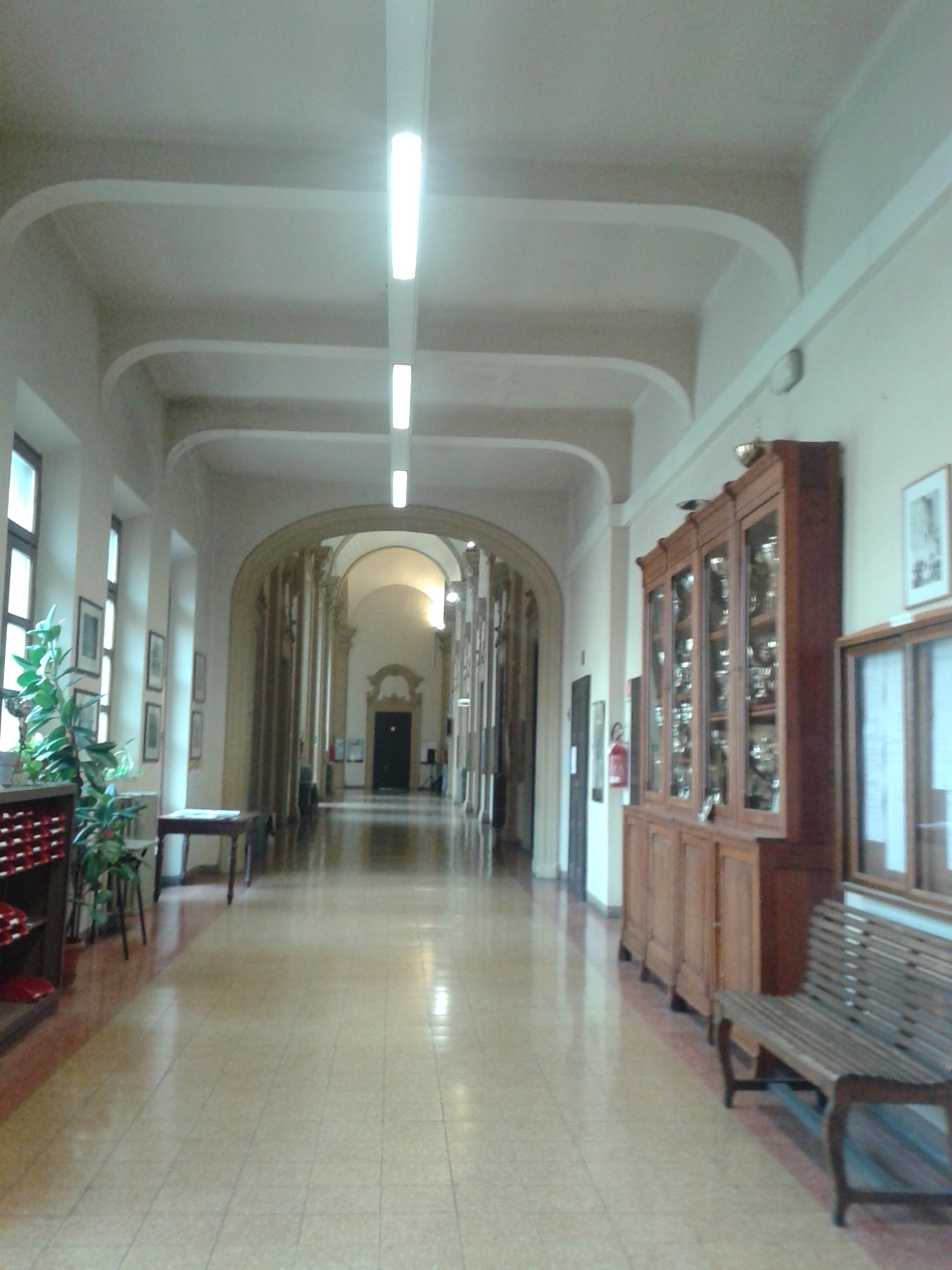 Estancia profesional en el Liceo Lingüístico Virgilio de Mantova