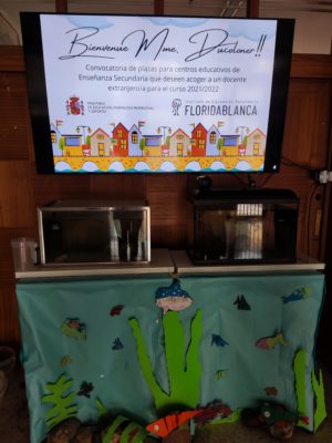 Estancia profesional de la docente francesa Dominique Ducoloner en IES Floridablanca (Murcia)
