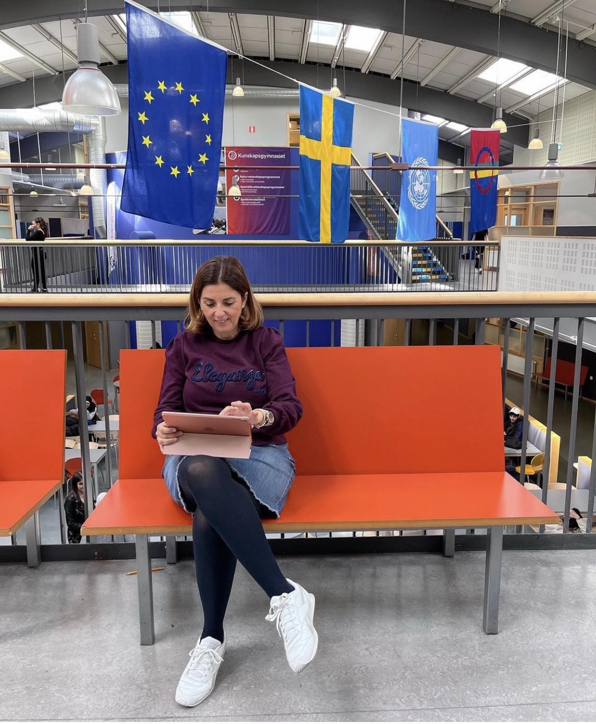 Estancia profesional en el centro Kunkapsgynmasiet de Malmo, Suecia.